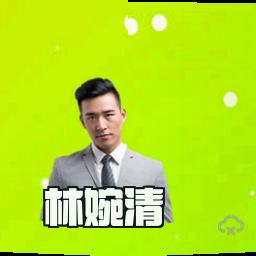 林婉清